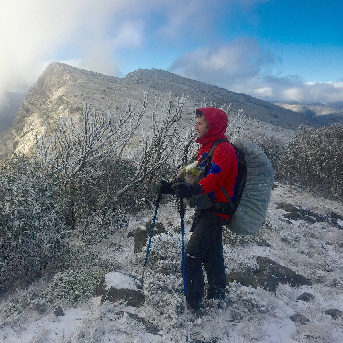 Helinox hiking pole 2025