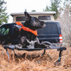 Elevated Dog Cot